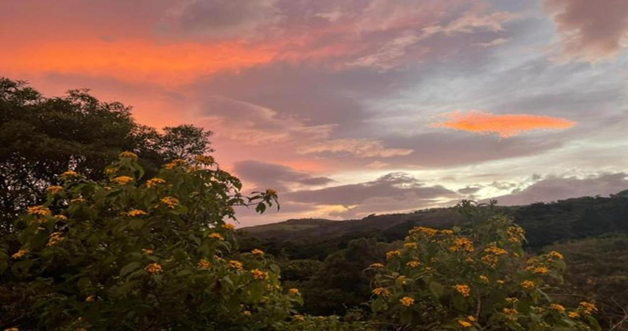 Las Marias Monteverde - Mountain View Cottages & Gardens Exteriér fotografie